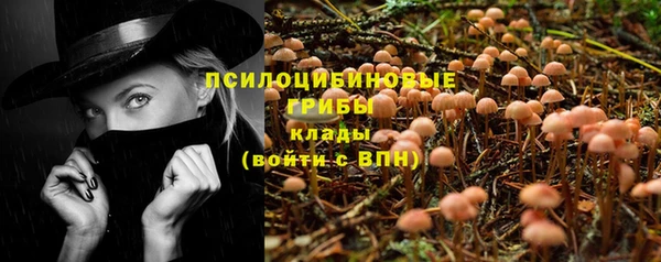 скорость Арсеньев