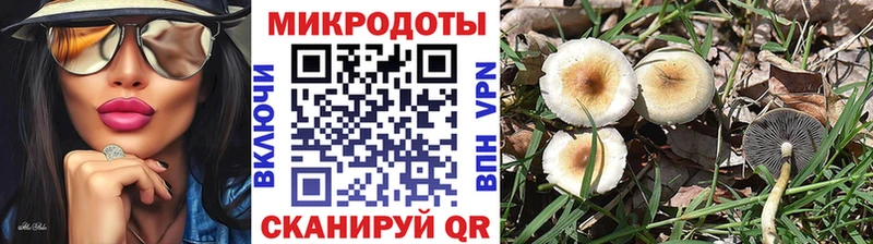 Галлюциногенные грибы прущие грибы MEGA ссылка Спас-Деменск